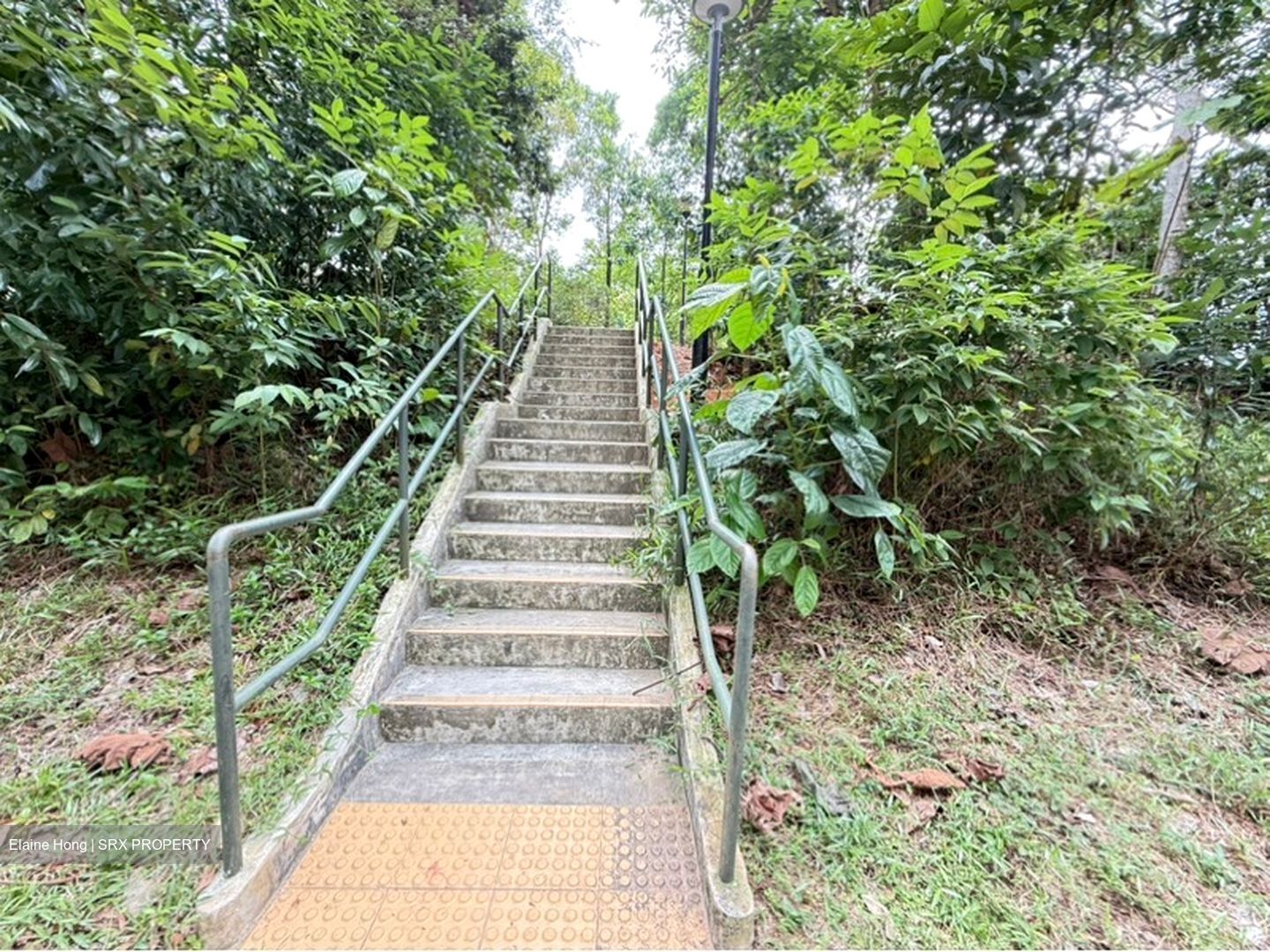 Segar Road (Bukit Panjang),  #506925491